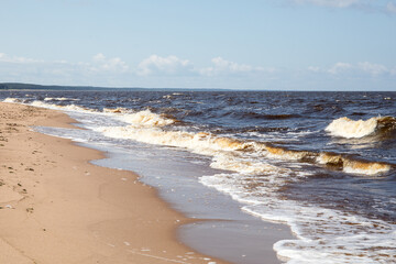 Sunny Summer Day at the Baltic Sea Beach with Breaking Waves and Clean Horizon