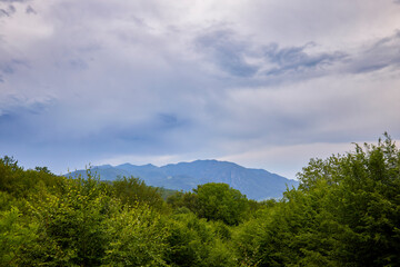 mountain landscape with green trees and cloudy sky