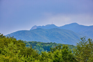 mountain landscape with green trees and cloudy sky