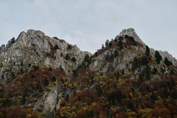 Steep rugged mountain slopes with colorful autumn trees in Prokletije National Park, Montenegro. After sunset.