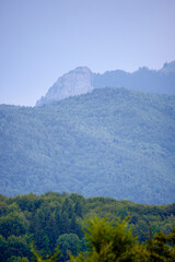 mountain landscape with green trees and cloudy sky