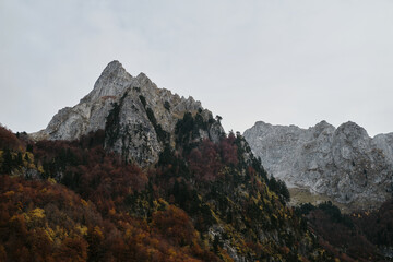 Steep rugged mountain slopes with colorful autumn trees in Prokletije National Park, Montenegro. After sunset.