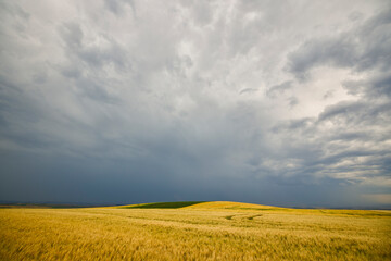 landscape with agricultural field on a cloudy day