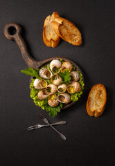 Snails with garlic butter and parsley, french escargots dish with toasted baguette