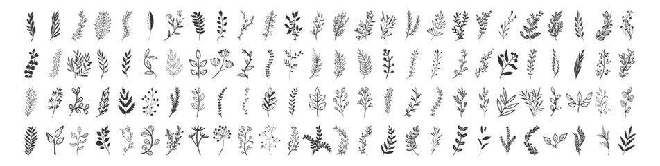 Floral and botanical leaf collection, hand drawn plant and branch vector set, vintage decorative elements, wedding wreath and nature doodle illustration on transparent background © Alex