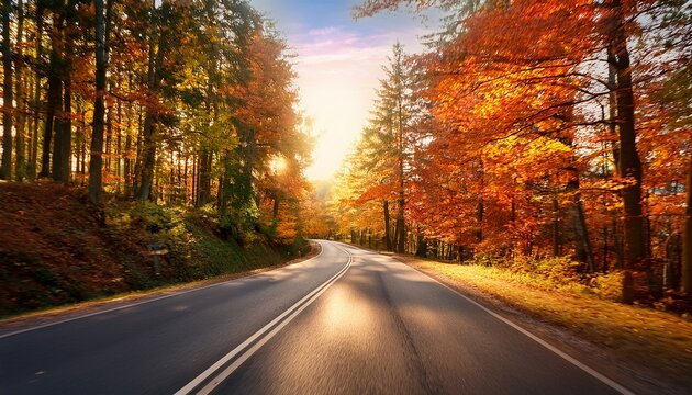 autumn scenic drive forested road landscape photography fall foliage serene environment nature s beauty