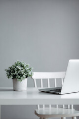 minimalist freelance workspace in digital environment featuring clean desk with laptop potted plant and ultrabright