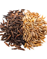 Black and brown cumin seeds spice close up