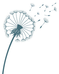 vector of a dandelion puff with white seed head and stalk, airy and light details, isolated on white background
