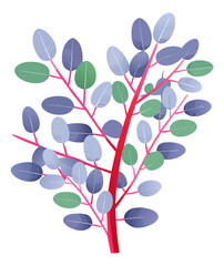 vector of a eucalyptus stem with small round green leaves and thin stem curvature, isolated on white background
