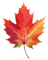 Obraz premium vector of a single red maple leaf with vein details and fall color gradient, isolated on white background 