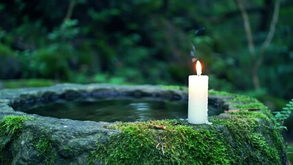 Zen stone basin with candlelight in forest.
Still candle burns beside moss-covered stone basin in peaceful forest setting.

