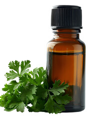 Cilantro Essential Oil in Amber Bottle Green Leaves