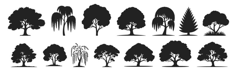 Tree silhouette collection with broadleaf, willow varieties vector illustration. Includes diverse foliage forms with natural, stylized canopies and trunks.
