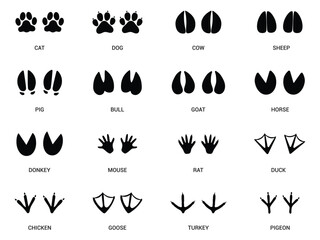 Set of Footprints of Farm Animals