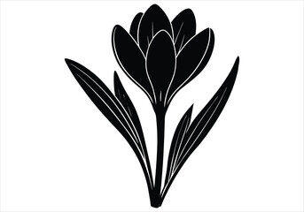 Crystal Bloom silhouette on white background