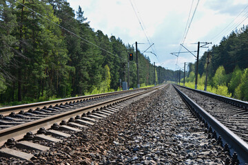 Railway tracks through a forest going to the horizon with clouds