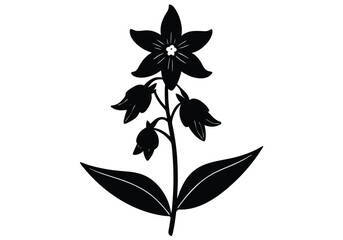 Larkspur	 flower silhouette on white background