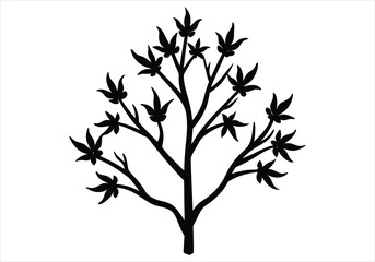 Obraz premium Witch Hazel flower silhouette on white background