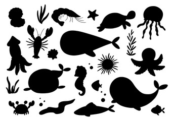 Sea whale, shrimp and urchin silhouette. Ocean underwater animals isolated on white background. Seaweed black hand draw illustration