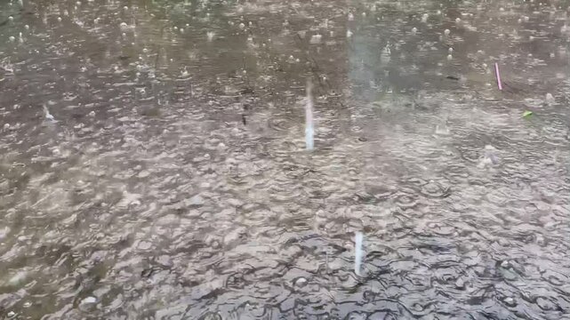 Heavy raindrops hit shallow puddles on a concrete or asphalt surface. The water's surface is filled with countless ripples, concentric circles, and tiny bubbles formed by the falling rain
