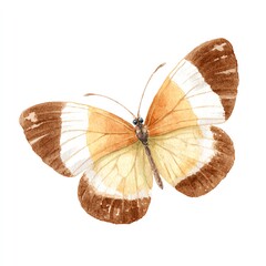 Naklejka premium Elegant Watercolor Butterfly, Delicate Wings, Brown and White Hues, Artistic Rendering, Nature Inspired Artwork