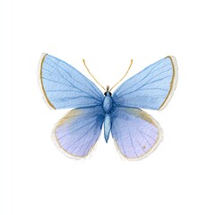 Obraz premium Serene Watercolor Butterfly Delicate Wings, Gentle Hues, Tranquil Beauty, Natures Masterpiece