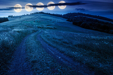 travel mountain landscape with path through meadow in summer at night. nature background with cloudy sky. trail winding among grass in the direction forest. countryside in full moon light. fake news