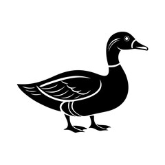 Obraz premium Domestic duck illustration. Elegant black and white image of domestic duck, perfect for farm designs, rustic style projects, and poultry-related branding.