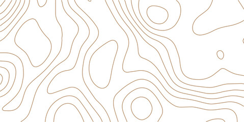 Abstract white topography vector background. Topographic map and landscape terrain texture grid