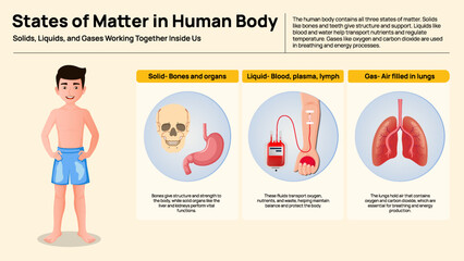 States of Matter in the Human Body - Solids, Liquids, and Gases Inside Us