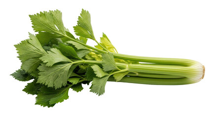 Isolated Celery