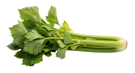 Isolated Celery