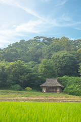 田んぼと古い民家 © 歌うカメラマン