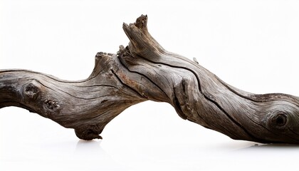 dried twisted tree branch weathered wood isolated on white background nature texture rustic decor