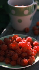 raspberries in a cupchocolate chip cookies