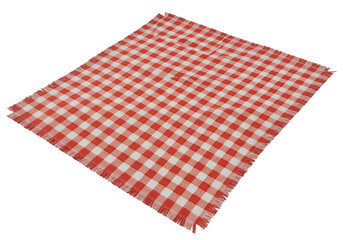 Red and White Checkered Tablecloth with Fringed Edge