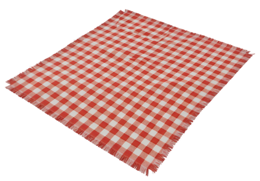 Red and White Checkered Tablecloth with Fringed Edge