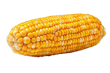 Close-up of a single, whole, yellow corn cob