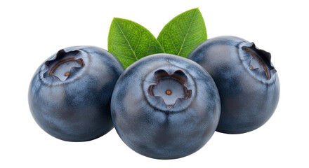 Isolated Three Blueberries