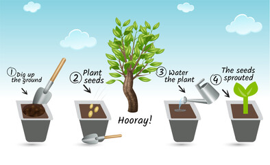 Business presentation with 5 steps or processes. Info graphic. Vertical infographics or time lines with 2, 3, 4,  parts. Stylized trees with leaves. Development and growth of the green technology.