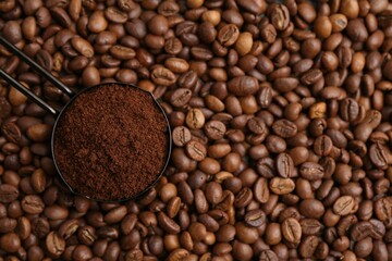 Scoop with instant coffee powder on beans, top view