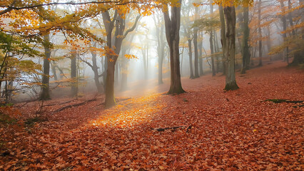 Enchanting autumn forest scene with golden leaves, misty atmosphere, and sun rays piercing through tall trees, creating a serene ambiance.