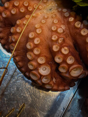 octopus tentacles close up with lettuce leaves and lemon slice. street food. seafood