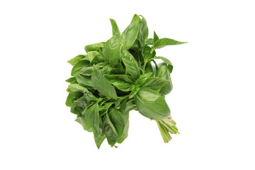 Sweet basil herb leaves bunch isolated on white background