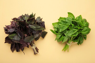 Green and purple basil herb on beige background