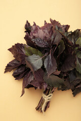 Purple basil on beige background. Vertical photo