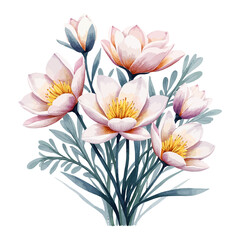 Obraz premium Floral Bouquet Watercolor Illustration with White and Pink Flowers on transparent background