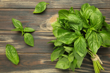 Green basil herb on brown background. Space for text