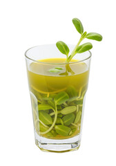 Sprouts and liquid in a glass. Clear, smooth and small greens are arranged well